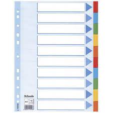 Register A4 blanko bunt 10tlg. ESSELTE 100193 Karton fbg.Tabs
