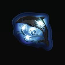 Step by Step MAGIC MAGS FLASH "Jumping Dolphin Fips"