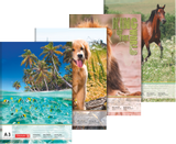 Zeichenblock A3 20Bl 10-4791355